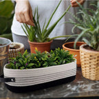 Nordic Cotton Rope Storage Basket — Minimalist Desktop Organizer