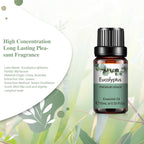 Pure Aromatherapy Essential Oil — Calming Scent Collection (10ml)