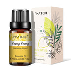 Pure Aromatherapy Essential Oil — Calming Scent Collection (10ml)