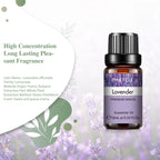 Pure Aromatherapy Essential Oil — Calming Scent Collection (10ml)