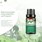 Pure Aromatherapy Essential Oil — Calming Scent Collection (10ml)