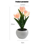 Tulip Flower Table Lamp — Soft Decorative Ambient Light